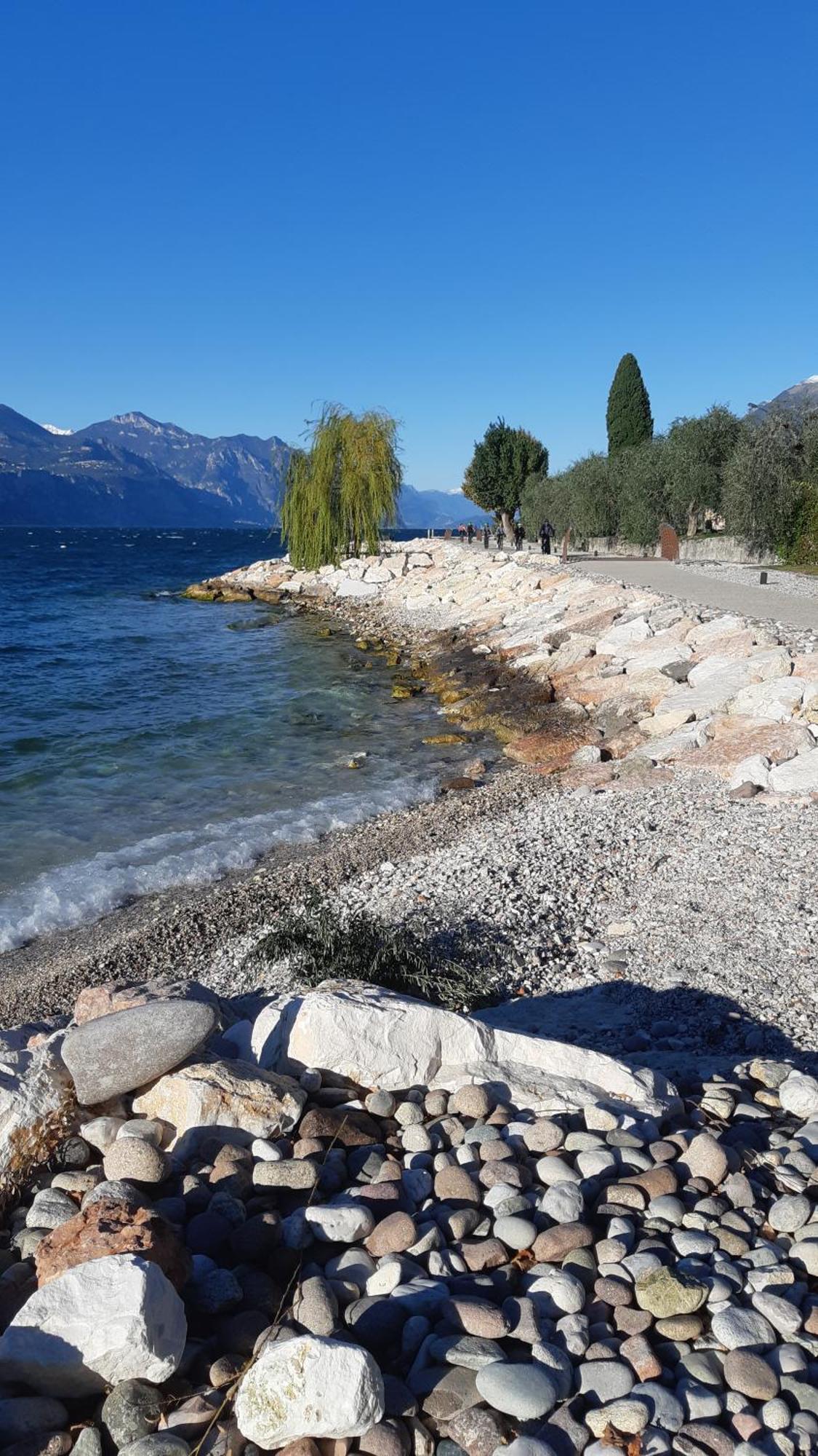 Hotel Danieli La Castellana Lago Di Garda Бренцоне сул Гарда Екстериор снимка